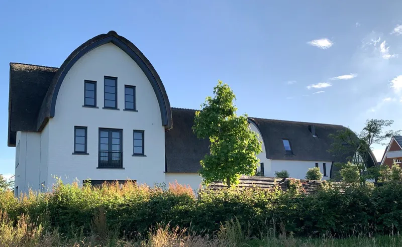 Экологичный материал для кровли: соломенная крыша из тростника