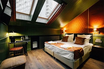 Безопасны ли мансардные окна