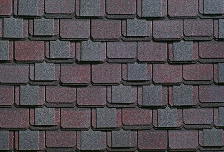 Континент Азия Континент Азия