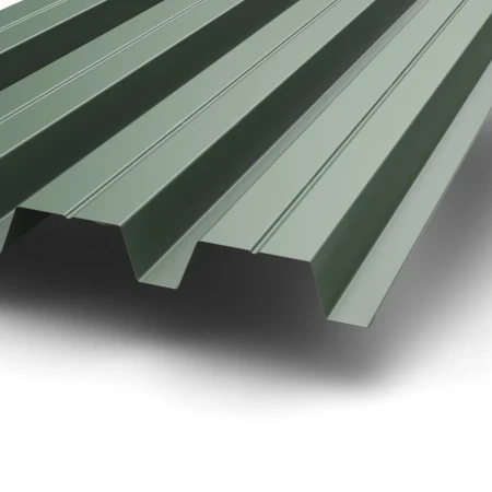 Н-60 Puretan 0.5 RR 11