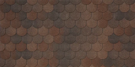 Business Plus Traditional Arabica 422