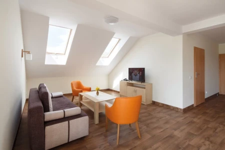 Мансардное окно Fakro Standard FTS-V U2 (V22) в Туле фото