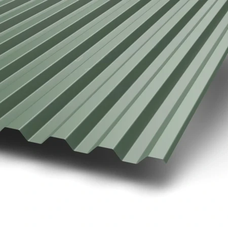 С-21 Puretan 0.5 RR 11 С-21 Puretan 0.5 RR 11