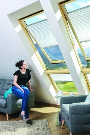 Мансардное окно Fakro LUX FPP-V Max U3 preSelect в Туле фото