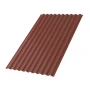 С-21 Puretan 0.5 RR 29 С-21 Puretan 0.5 RR 29