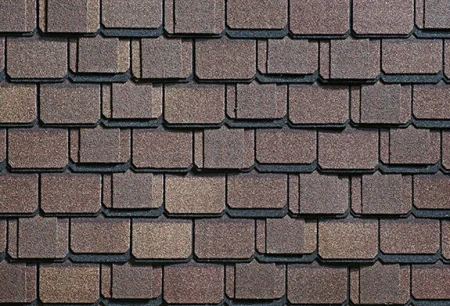 Континент Африка