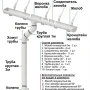 Комплект пластикового водостока d-120x80 мм Döcke Standard белый RAL 9003 в Туле фото